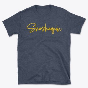 Sheshequin Pennsylvania Freestyle Basic T-Shirt