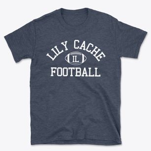 Lily Cache Illinois Football Basic T-Shirt