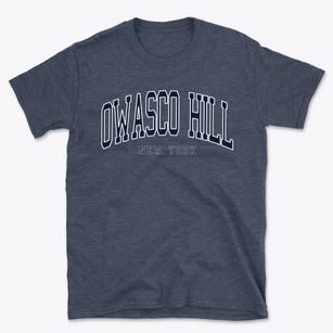 Owasco Hill New York Traditional Basic T-Shirt