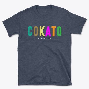 Cokato Minnesota Color Pop Basic T-Shirt