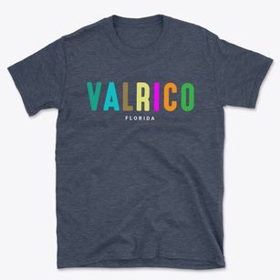 Valrico Florida Color Pop Basic T-Shirt