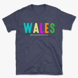 Wales Massachusetts Color Pop Basic T-Shirt