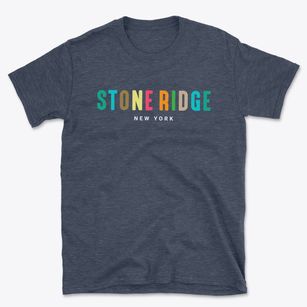 Stone Ridge New York Color Pop Basic T-Shirt