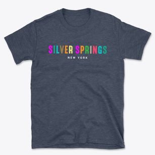 Silver Springs New York Color Pop Basic T-Shirt