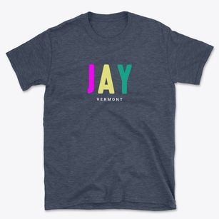 Jay Vermont Color Pop Basic T-Shirt