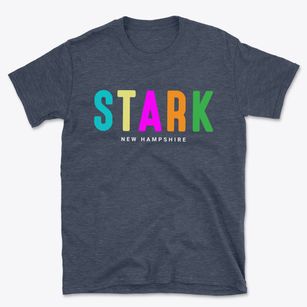 Stark New Hampshire Color Pop Basic T-Shirt