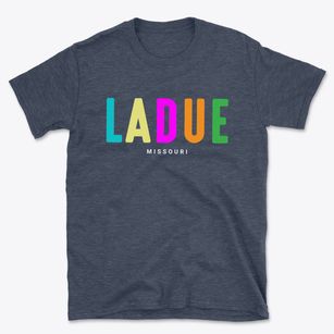 Ladue Missouri Color Pop Basic T-Shirt