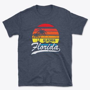Alachua Florida Palm Tree Sunset Basic T-Shirt