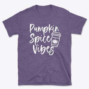 Pumpkin Spice Vibes Basic T-Shirt