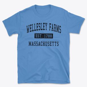 Wellesley Farms Massachusetts Classic Established Basic T-Shirt