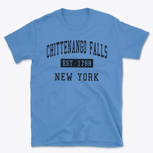 Chittenango Falls New York Classic Established Basic T-Shirt