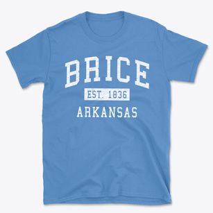 Brice Arkansas Classic Established Basic T-Shirt