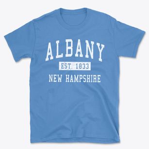 Albany New Hampshire Classic Established Basic T-Shirt