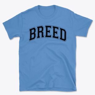 Breed Elementary School Varsity Arch Basic T-Shirt