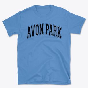 Avon Park Middle School Varsity Arch Basic T-Shirt
