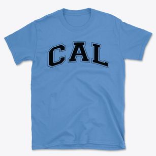 Christian Academy Of Louisville Varsity Arch Basic T-Shirt