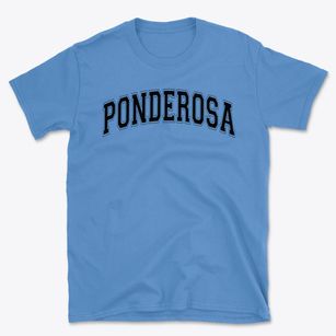Ponderosa Elementary School Varsity Arch Basic T-Shirt
