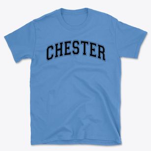Chester W Barrows Elementary School Varsity Arch Basic T-Shirt
