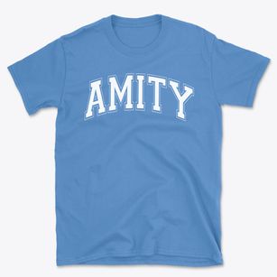 Amity Elementary School Varsity Arch Basic T-Shirt