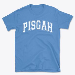 Pisgah Elementary School Varsity Arch Basic T-Shirt