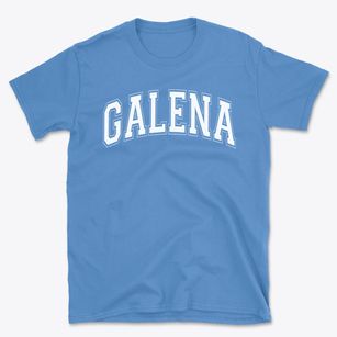 Galena Elementary School Varsity Arch Basic T-Shirt