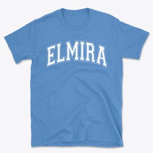Elmira Christian Academy Varsity Arch Basic T-Shirt