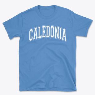 Caledonia Elementary School Varsity Arch Basic T-Shirt