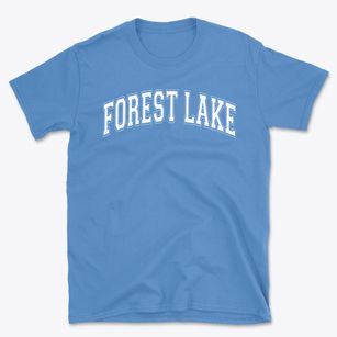 Forest Lake Elementary School Varsity Arch Basic T-Shirt