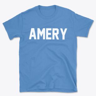 Amery Wisconsin Classic Block Basic T-Shirt
