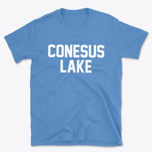 Conesus Lake New York Classic Block Basic T-Shirt
