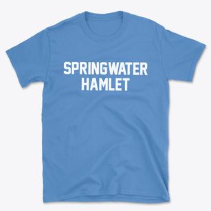 Springwater Hamlet New York Classic Block Basic T-Shirt