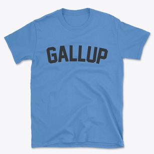 Gallup New Mexico Classic Curve Basic T-Shirt