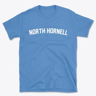 North Hornell New York Classic Curve Basic T-Shirt