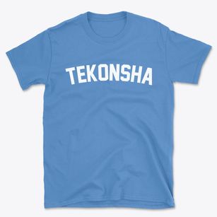 Tekonsha Michigan Classic Curve Basic T-Shirt