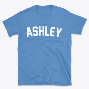 Ashley Illinois Classic Curve Basic T-Shirt