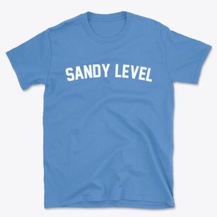 Sandy Level Virginia Classic Curve Basic T-Shirt