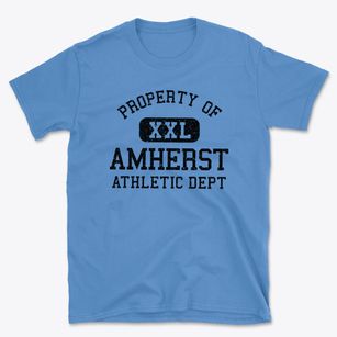 Amherst Wisconsin Athletic Dept Basic T-Shirt