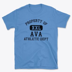 Ava Illinois Athletic Dept Basic T-Shirt