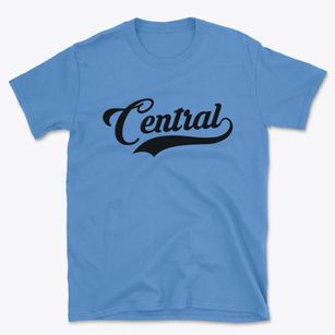 Central South Carolina Vintage Team Basic T-Shirt