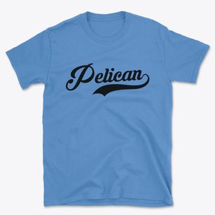 Pelican Wisconsin Vintage Team Basic T-Shirt