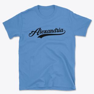 Alexandria Virginia Vintage Team Basic T-Shirt