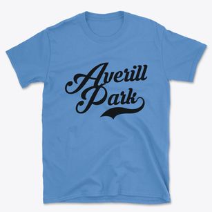 Averill Park New York Vintage Team Basic T-Shirt