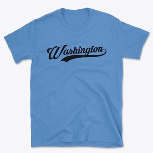 Washington New Hampshire Vintage Team Basic T-Shirt
