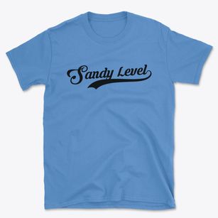 Sandy Level Virginia Vintage Team Basic T-Shirt
