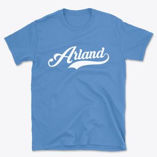 Arland Wisconsin Vintage Team Basic T-Shirt
