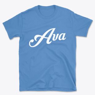 Ava Illinois Vintage Team Basic T-Shirt
