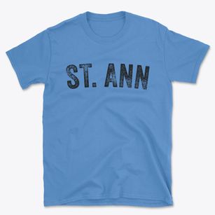 St. Ann Missouri Timeless Retro Basic T-Shirt