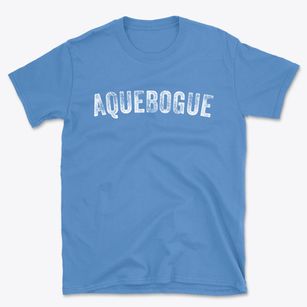 Aquebogue New York Timeless Retro Basic T-Shirt