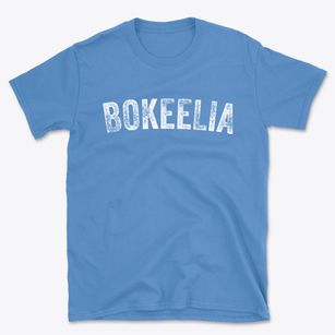 Bokeelia Florida Timeless Retro Basic T-Shirt