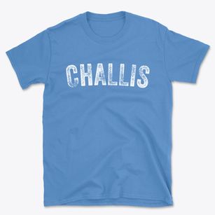 Challis Idaho Timeless Retro Basic T-Shirt